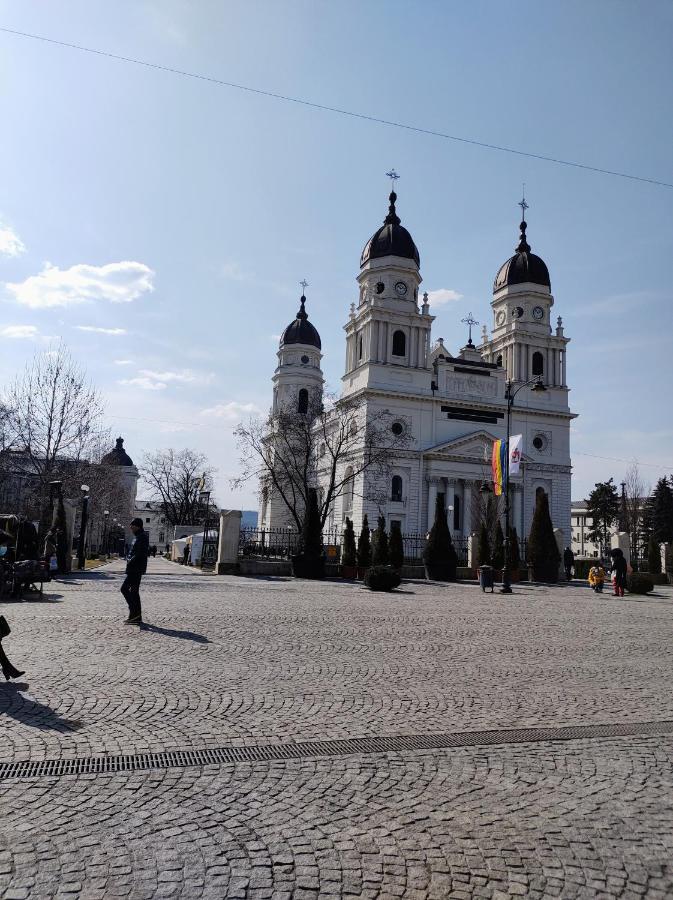 Simona Apartament Iulius Mall Iasi Bagian luar foto